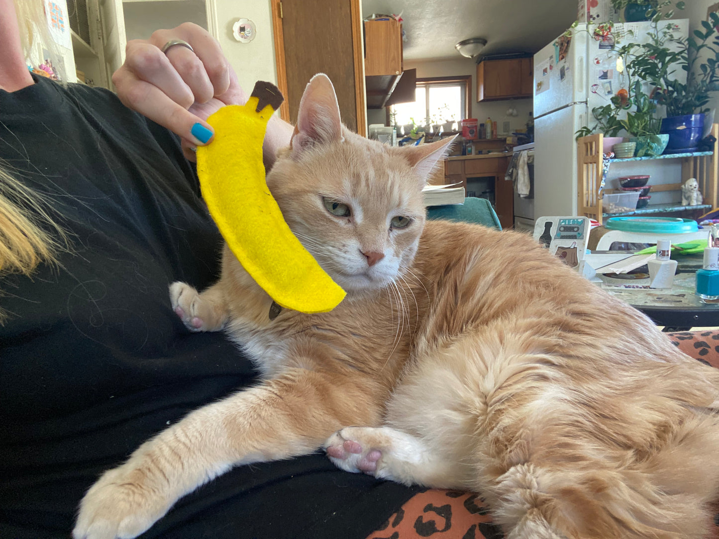 Banana catnip toy