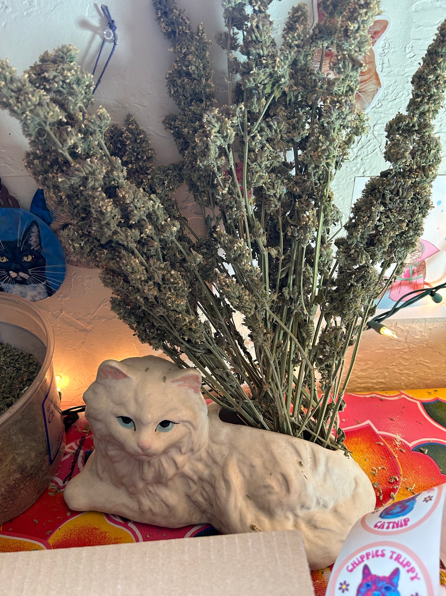 Limited edition bags of full catnip buds