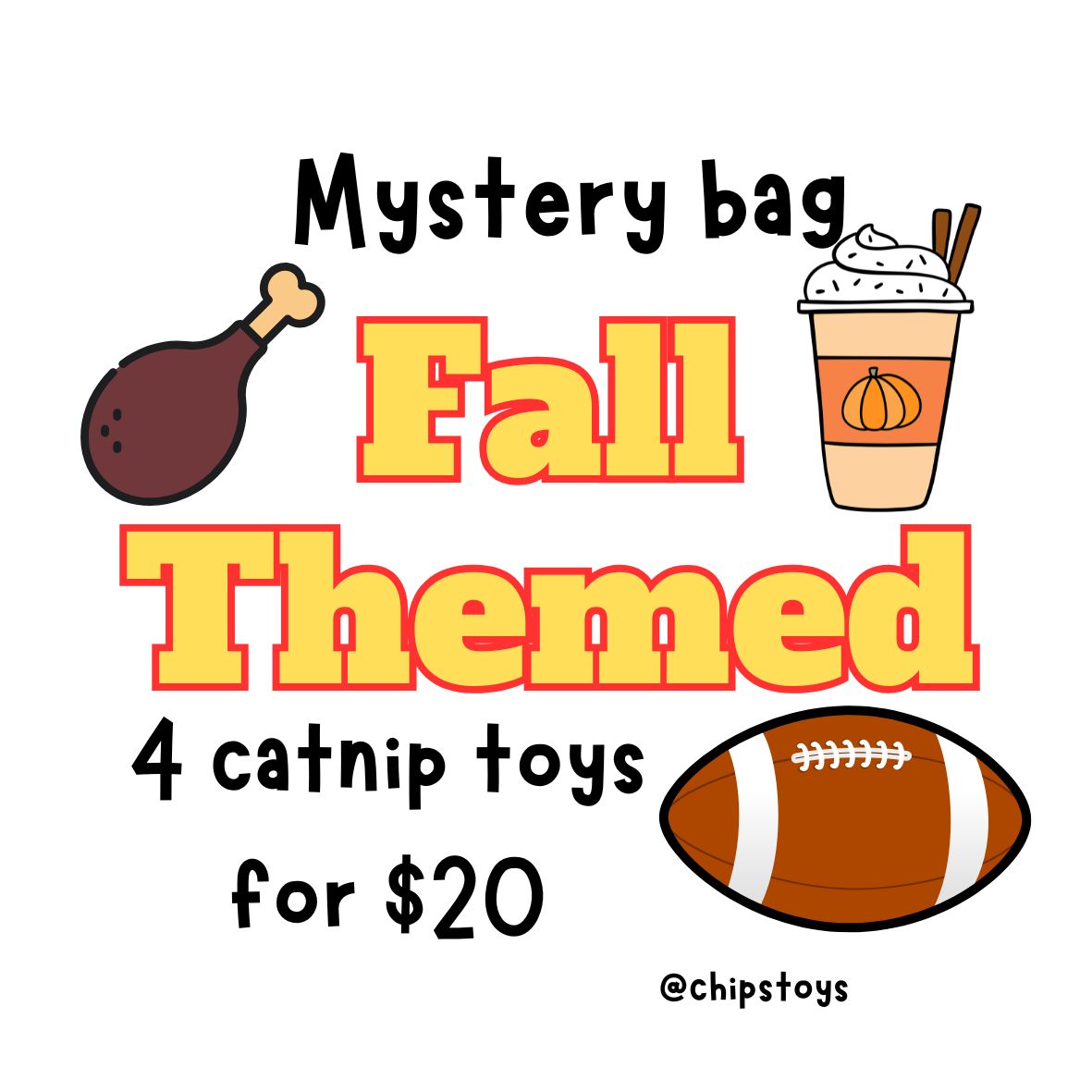 1. MYSTERY BAG - FALL